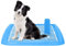 Nobleza - Bandeja de Entrenamiento WC para Perros, Soporte para Almohadilla para Mascotas, Inodoro de Plástico con Poste Extraíble para Perros y Gatos, Color Azul, Talla L, (70,5 * 46,5) cm