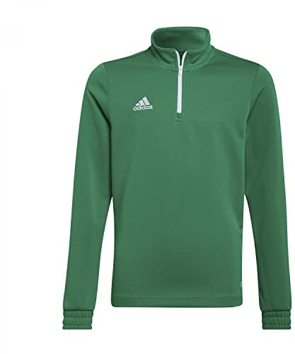 adidas Unisex Kids Entrada 22 Training Top, Team Green/White, 15-16 Years