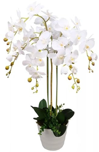 Leaf Design UK Realistic Artificial Orchid Flower Display in Pot, White, 85 cm