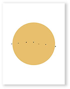 MILUKA Dekorativer Kunstdruck zum Einrahmen als Wandbild | Vögel, Entspannender nordischer Stil | Birds at Sunset | Air Wave Birds (30 x 40 cm)