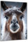 DARO Design - Wand-Bild auf 6mm HDF 30x20 cm Alpaca Portrait - Wand-Deko Bilder Geschenk