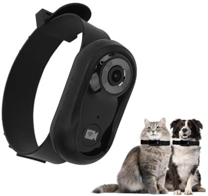Garsent Haustierhalsband-Kamera, 1080P HD Mini-Katze, Hund, Videoaufzeichnung, Action-Kamera, 8G-Speicherkarte, 120° Weitwinkel-Körper-Sportkamera für Drinnen und Draußen, (Black)