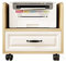 LaYiQimn Drucker Regal Druckerständer, Abnehmbarer Kopierer-Unterschrank, Untertischgestell, Druckergestell, deckenhohes Desktop-Chassis, Lagergestell, Druckerschrank, Bürobedarf (D, L)