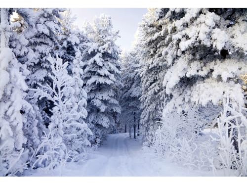 Ttincceer 1,5x1m Winter Schnee Wald Hintergrund für Fotoshooting Heavy Snow Wonderland Weihnachten Party Fotografie Hintergrund Winter natürliche Landschaft Baby Dusche Geburtstag Party Dekoration