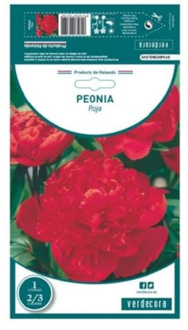 Verdecora Bulbo Peonía Roja - 1 unidad - Belleza Clásica y Aroma Seductor para Jardines y Terrazas - Bulbo de primavera