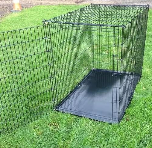 Dog Crate - Extra-Large with Single Door - 54 for Giant Breeds