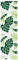 AJJHUUKI Decor-Window Treatments - Estor enrollable para ducha con casete, 80 x 240 cm, ancho de tela 76 cm