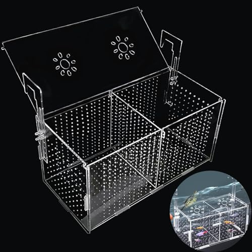 Laichkasten für Aufzuchtbecken Ablaichbecken Aquarium Acryl Für Aufzuchtbecken Aquarium kann zur Isolierung,Truhe für Fischbecken,zum Schlüpfen, zur Fischzucht usw Verwendet Werden