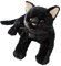 Waaka Katze Plüschtier Schwarz, Kuschelige Schwarze Kätzchen Spielzeug, Süßes Plüschkätzchen Stofftier, Geburtstagsgeschenke Für Mädchen, Jungen, Kinder