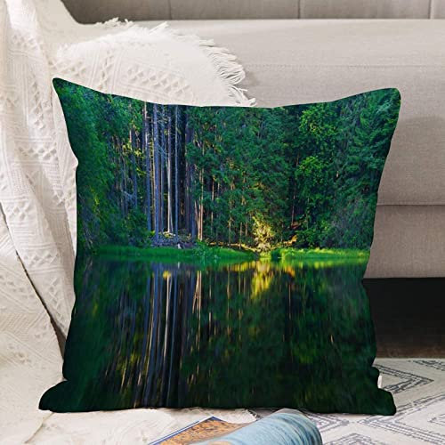 Kissenbezug 45x45 cm,Ruhiger See in der Nähe des Boubiner Böhmerwaldes,Outdoor Kissen Kissenbezüge Kissenhülle Sofa Kissen dekokissen Zierkissen für Wohnzimmer Garten deko draußen