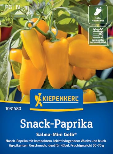 Kiepenkerl Paprikasamen Salma-Mini Gelb® 1031480, Gemüsesaat | Kompakter Wuchs, fruchtig- pikante Früchte, für Freiland, Gewächshaus & Topf