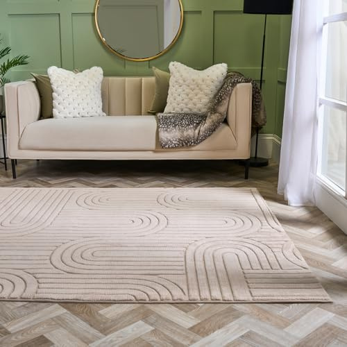 OHS Large Rugs for Living Room, Soft Fluffy Arches Tufted Rugs for Bedroom Home Decorative Modern Non Slip Rug Living Room Floor Carpet, Mink - 160 x 230cm