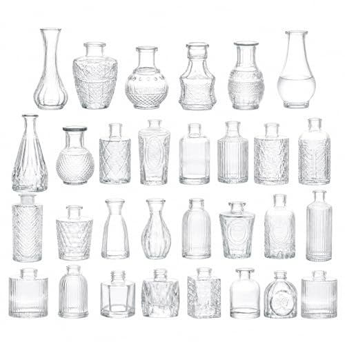 Jafurnestia 30 Glasvasen Set, Vintage Kleine Vasen Blumenvasen Mini Glas vasen für Trockenblumen & Frischblumen, Dekovasen Transparent, Tischdeko Hochzeit Geburtstag Wohnzimmer Küche