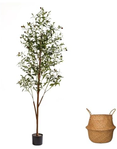 AzureLeap 6Ft Artificial Olive Tree with Moss & Basket - Indoor Tall Faux Olive Tree in Planter, Large Fake Olive Silk Tree with Realistic Branches and Fruits for Home Decor, Office, Living Room