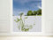 GRAZDesign Fensterfolie Bad Blickdicht Schildkröte - Sichtschutzfolie maritim Badezimmer - für Dusche & Fenster - 100x57cm / Silbergrau