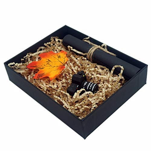 LUCKCRAZY 16GB USB Flash Drives Camera USB Memory Pendrive 16GB PVC USB Thumb Flash Disk with Black Packaging Box (16GB, Style 52)