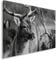 Feeby Bilder Hirsch XXL 120x80 cm 1 Teilig Wohnzimmer Schlafzimmer Büro Flur Küche Wandbilder Leinwandbilder Modern Bild auf Leinwand Wanddekoration Design Natur Schwarz und Weiß