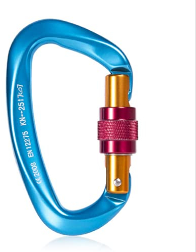 Feloyal mousquetons d'escalade Solides 25 KN en Forme de D avec Porte à vis pour Camping, hamacs, balançoires, pêche, Bouteille d'eau, Porte-clés, Laisse pour Chien