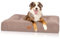 Knuffelwuff orthopädisches Hundebett aus kuscheligem Velours mit Handwebcharakter Sofia 120x100cm Beige - Abnehmbarer Bezug - waschbar - für große, mittelgroße und kleine Hunde