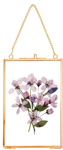 REDHUGO Cadres pour fleurs pressées, cadres flottants en verre pour afficher des spécimens de plantes séchées, photos, cadre photo en laiton avec chaîne suspendue, double verre clair, rectangle