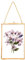 REDHUGO Cadres pour fleurs pressées, cadres flottants en verre pour afficher des spécimens de plantes séchées, photos, cadre photo en laiton avec chaîne suspendue, double verre clair, rectangle