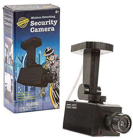 Funtime Gifts EG7965 Security Camera with Motion Sensor/Light and Voice Activation, Black