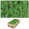 1 box of real moss - natural decorative moss for crafts in various fresh varieties - DIY - Iceland moss (1 x island moss grass green dark)