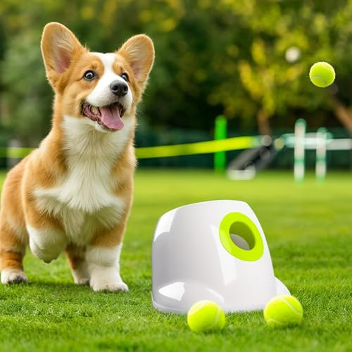ALL FOR PAWS Automatic Dog Ball Launcher, Interactive Tennis Ball Thrower for Small and Medium Size Dogs, Interactive Dog Toy Mental Stimulation Toys with 3 Balls, Mini Version