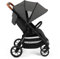Ickle Bubba Stomp Stride Poussette (gris anthracite)
