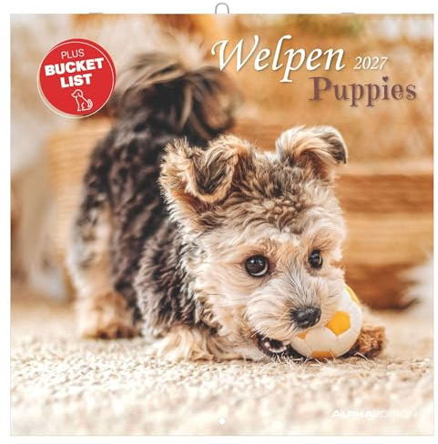Welpen 2027: Wandkalender 30x30 cm (30x60 cm geöffnet) mit Notizkalendarium, 12 Welpenfotografien und Bucket-List
