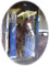 Jehaplast PVC Lamellenvorhang Lagervorhang Stallvorhang Hell - Transparent (1,00 m Breit x 3,00 m Hoch)
