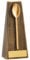 Trophy Wooden Spoon Resin Award 17.5 cm. Free Engraving up to 45 Letters A1047