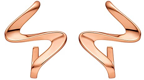 Heideman Ohrringe Fina Damen Edelstahl Ohrstecker verschnörkelt poliert | Wunderschöne Geschenkidee für Frauen, hautfreundlich, nickelfrei und langlebig, schön für Büro und Freizeit