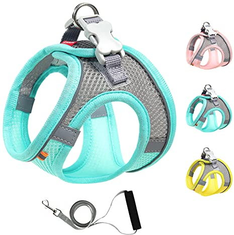Mitili Mehrzweck Hundegeschirr mit Leine Set, Anti Zug Geschirr, Reflektierend Weich Gepolstert Hunde Geschirr, Air-Mesh Brustgeschirr für Kleine Mittlere Hunde, Haustiere, Katzen (Mintgrün, M)
