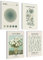 mojoliving Moderne Bilder Blumen Poster Set | Bilder Grün | Bilder Schlafzimmer | Matisse Poster Set | Flower Market Poster Wanddeko grün | 4x A4 ohne Rahmen
