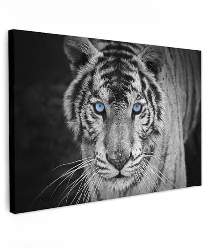 MuchoWow© Leinwandbilder Groß 120x80 cm XXL Wall Art Decoration Bilder für die Wand Schlafzimmer Deko Canvas Painting Wanddekoration Wohnzimmer Tiger - Tier - Schwarz - Blau - Modern