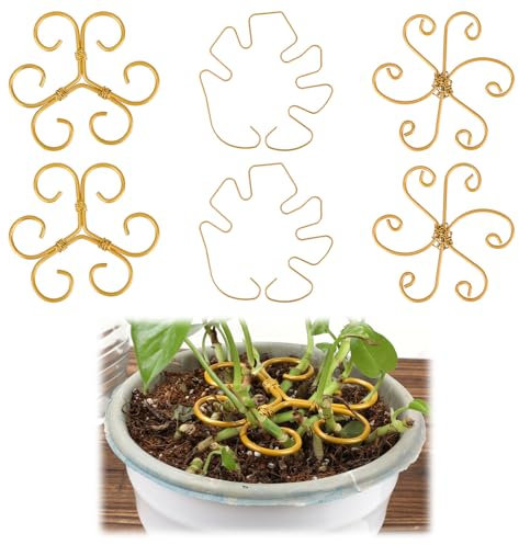 Gosknor 6pcs Metal Plant Stem Support, 3 Styles Vertical Growth Stake for Climbing Houseplant Iron Plants Stem Holder & Trellis Accessories for Outdoor Indoor House Monstera Stabilizing & Growing