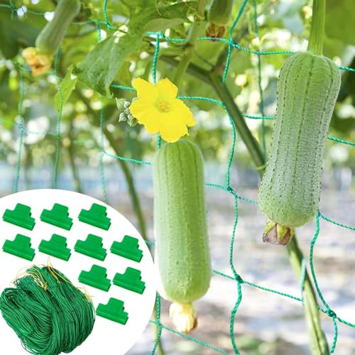 1 Pea Netting, Pea Netting for Garden, Plant Support Netting with 10 Clips Durable Climbing Trellis for Vegetables, Flowers, Vines, Ideal for Outdoor Gardening, Greenhouses, and Backyard Plant Support