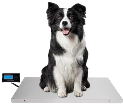 KEESUNG Veterinärwaage, Bodenwaage Tierwaage Große Hundewaage Industriewaage Schwerlastwaage Edelstahl Plattform Waage Bis 300kg Paketwaage