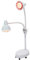 UYRTOY Infrarotlampe Wärmelampe,275W Zwei Lampenhalter Rotlichtlampe Infrarot-Glühbirne Höhe und Winkel Einstellbar 360°,Verwendet in Schönheitssalons,Wohnzimmer und Häuser,Weiß