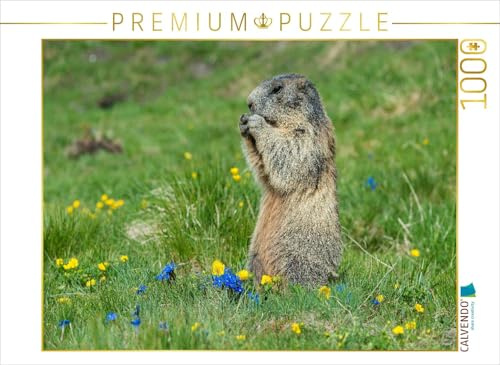 CALVENDO Puzzle Der Feinschmecker | 1000 Teile Lege-Größe 64 x 48 cm Foto-Puzzle für glückliche Stunden