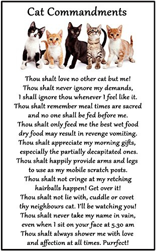 Cat Lover Gift - Cat Commandments - Large Fun flexible Fridge Magnet- size 16cms x 10 cms (approx. 6 x4)