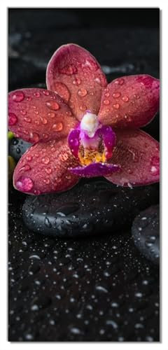 Wallario Selbstklebende Türtapete mit Schutzlaminat Orchideen-Blüte auf schwarzen Steinen, benetzt mit Wasser-Tropfen - Türposter 100 x 220 cm Abwischbar, rückstandsfrei zu entfernen
