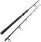 Sportex Catfire CS-2 Boat 2,80m 150-300g Welsrute