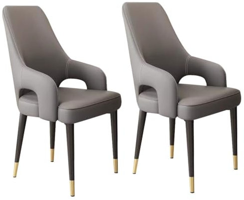 BAKULI Esszimmerstühle Aus Leder Mit Katzenkralle 2er Set Küchen Und Wohnzimmer Lounge Thekenstühle Schreibtischstuhl for Den Haushalt Stabile Metallbeine(Gray)