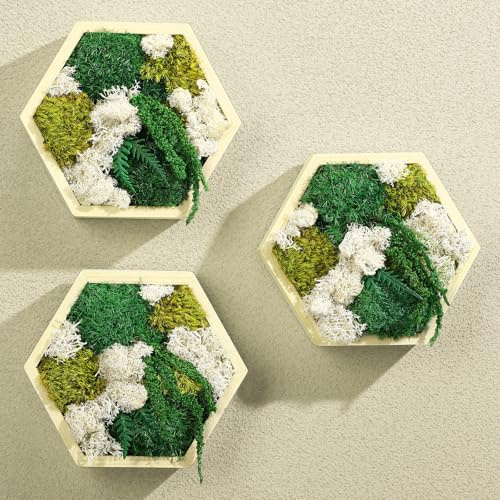 RattanView Moos-Wandkunst, sechseckig, Holzrahmen, Dekoration, konserviert, Wandbehang, Wabenmoos, Amaranthus, Kunst für Einweihungsgeschenke, Wohnzimmer, Badezimmer, Küche, Hochzeit, dekorativ, 3
