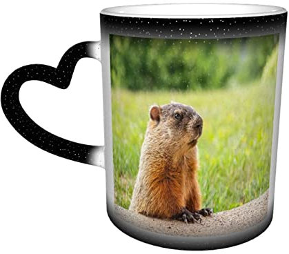 IUBBKI Mignon marmotte couleur changeante tasse dans le ciel en céramique sensible à la chaleur tasse latte tasses conception sensible à la chaleur pour cadeaux bureau idée personnalisée 12 oz