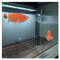 Aquarium Trennwand Acryl-Aquarium-Trenner, großer Aquarium-Tank-Trenner mit Saugnapf, durchsichtiges Aquarium-Trennwand-Set für optimale Fisch-Trennung und Tank-Organisation(55x60cm/21.6x23.6in)