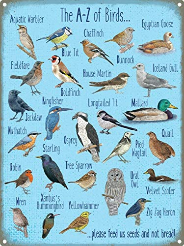 The A-z of Birds,12 * 8 Inches Vintage Funny Poster Wall Decor Art Gift Retro Picture Metal Sign