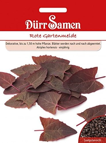 Dürr-Samen - Rote Gartenmelde Saatgut